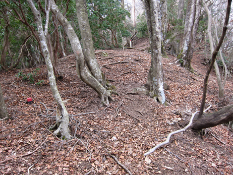 20200204hike (257)